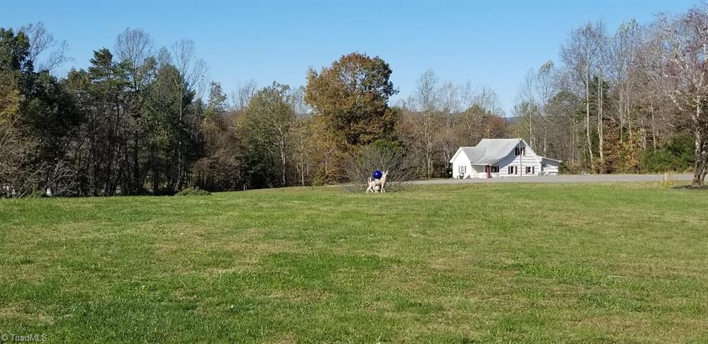2452 Collinstown Road Stuart, VA 24171 - Photo 6 of 49 Beautiful Grassland