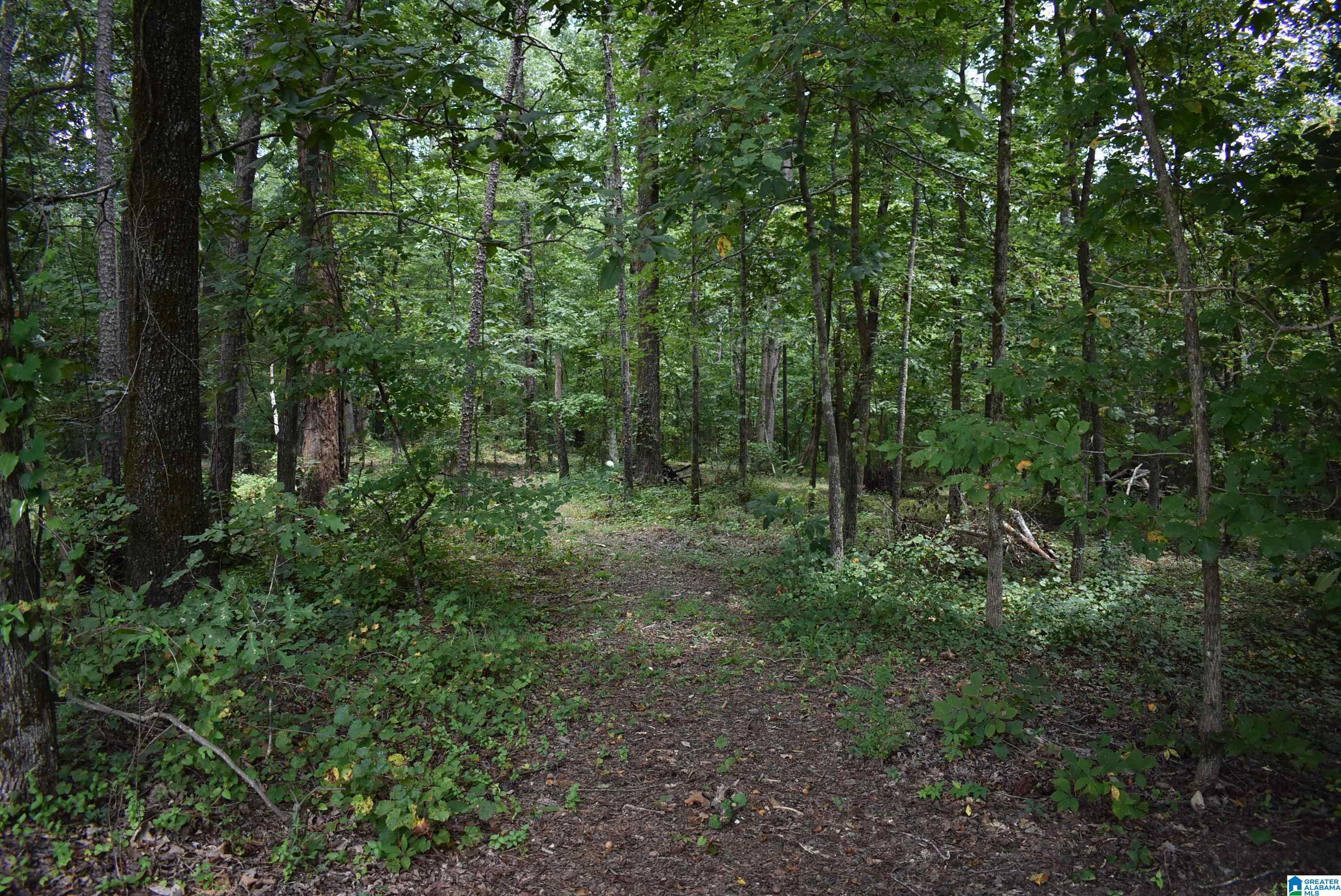 7432 Roper Road, Unit 4 Trussville, AL 35173 - Photo 11 of 19