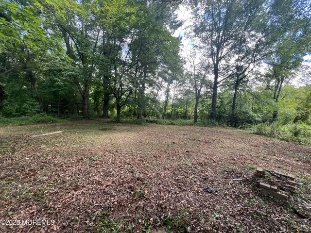 a view of a large yard with lots of green space