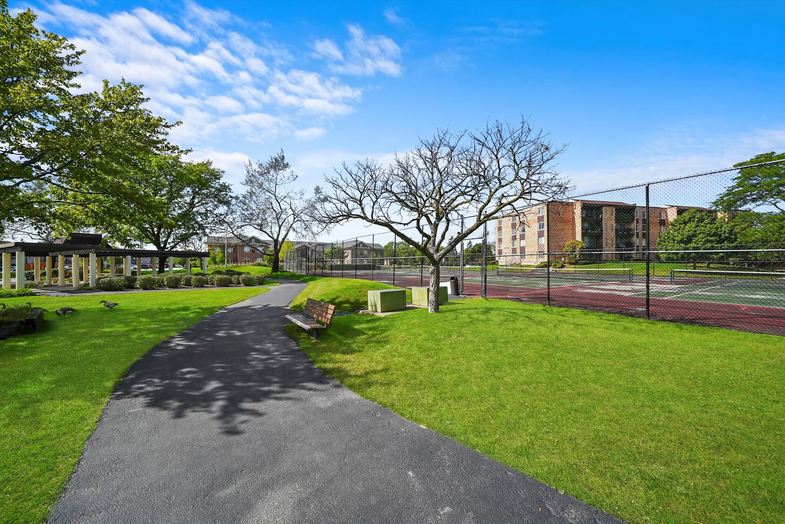 500 West Huntington Commons Road, Unit 455 Mount Prospect, IL 60056 - Photo 6 of 22 Gallery Image 6