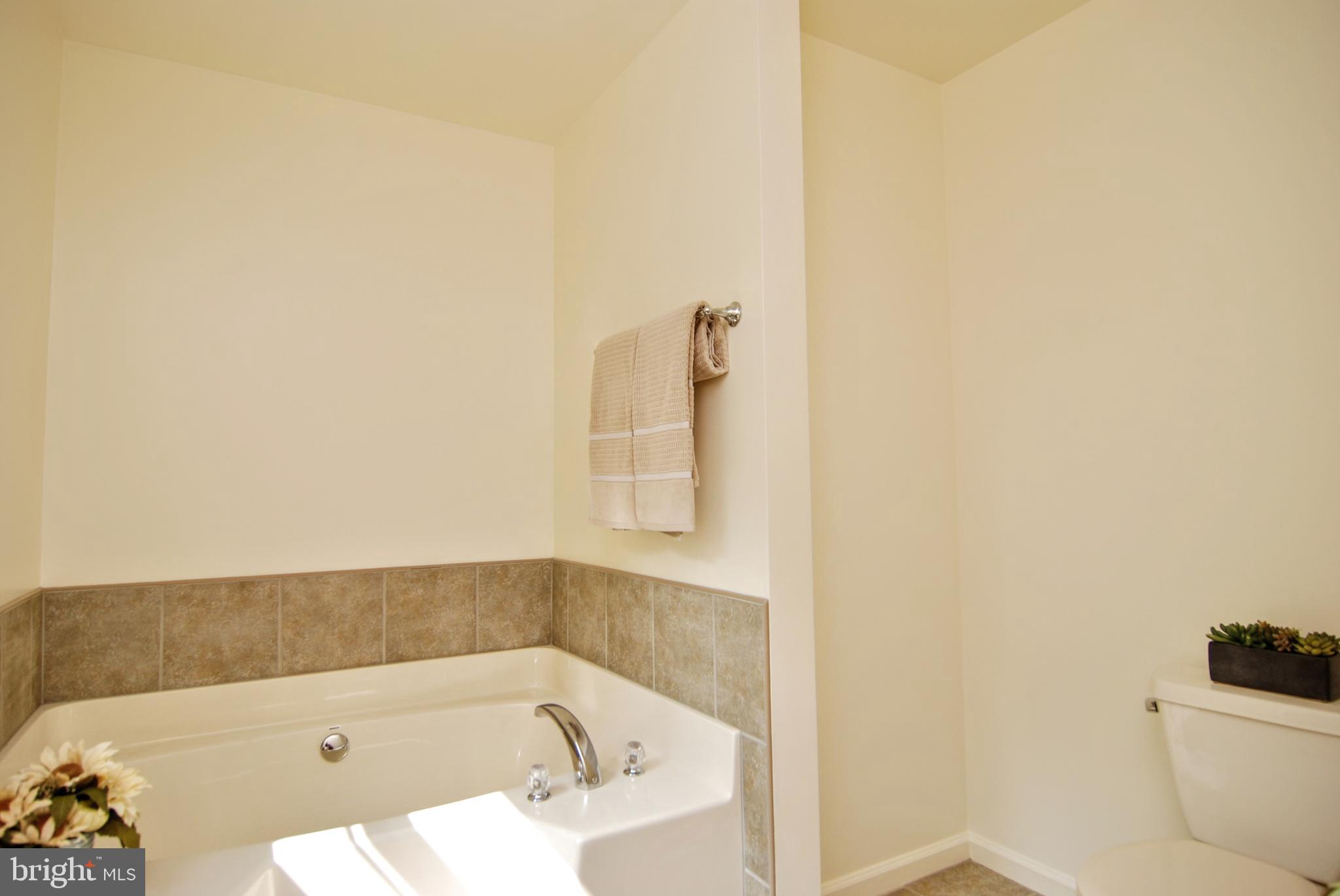 5902 Moser Road Boonsboro, MD 21713 - Photo 21 of 37 And a large soaking tub with tile surround.