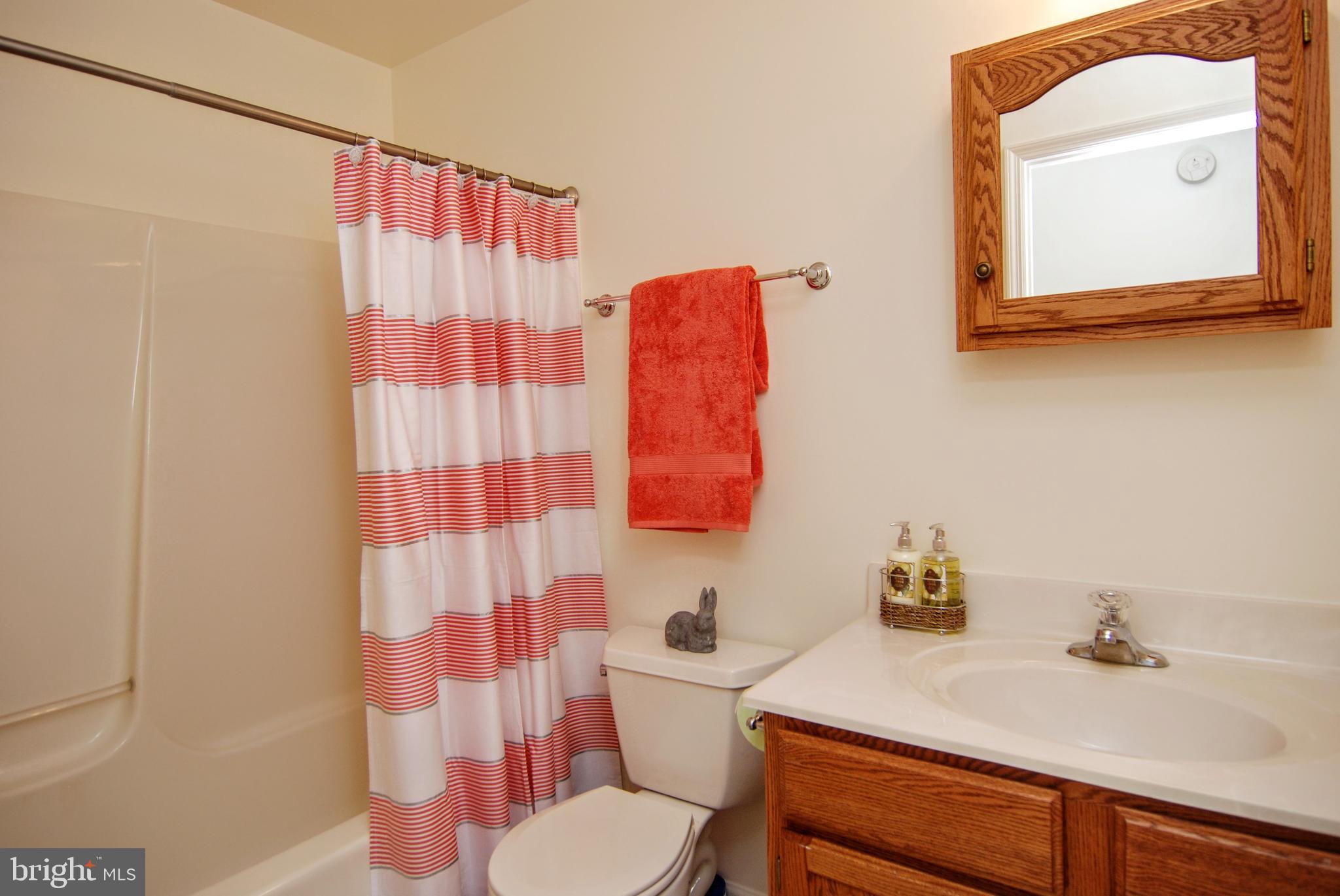 5902 Moser Road Boonsboro, MD 21713 - Photo 24 of 37 The hall bath is cute and fresh!