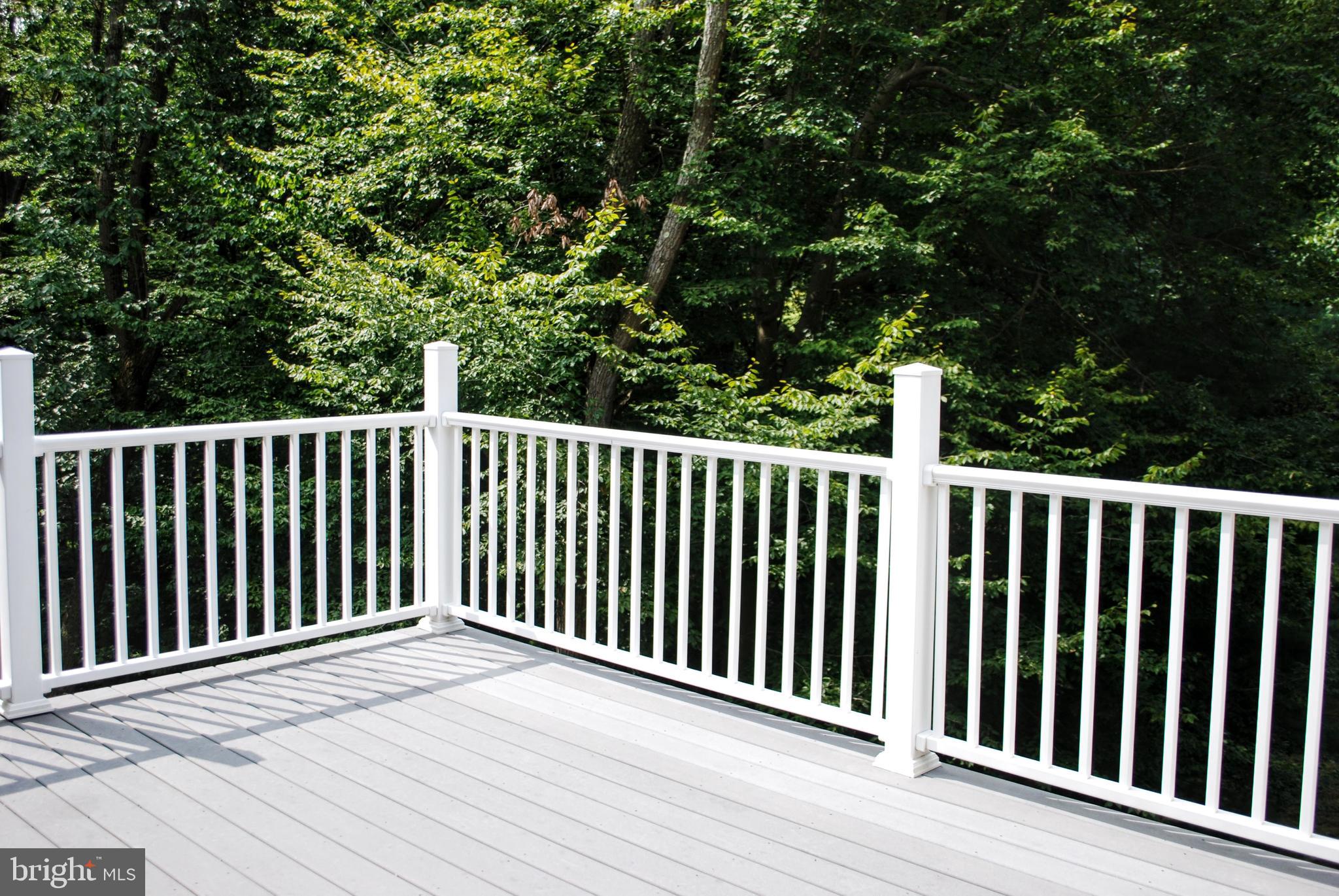 5902 Moser Road Boonsboro, MD 21713 - Photo 8 of 37 That is maintenance free with great views!