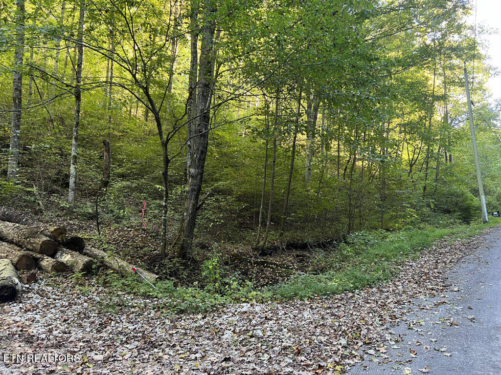 155 Chestnut Grove Road Maynardville, TN 37807 - Photo 13 of 29 155 Chestnut Grove, Maynardville TN