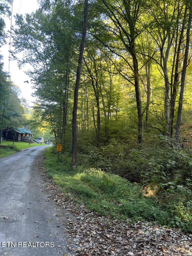 155 Chestnut Grove Road Maynardville, TN 37807 - Photo 14 of 29 155 Chestnut Grove, Maynardville TN