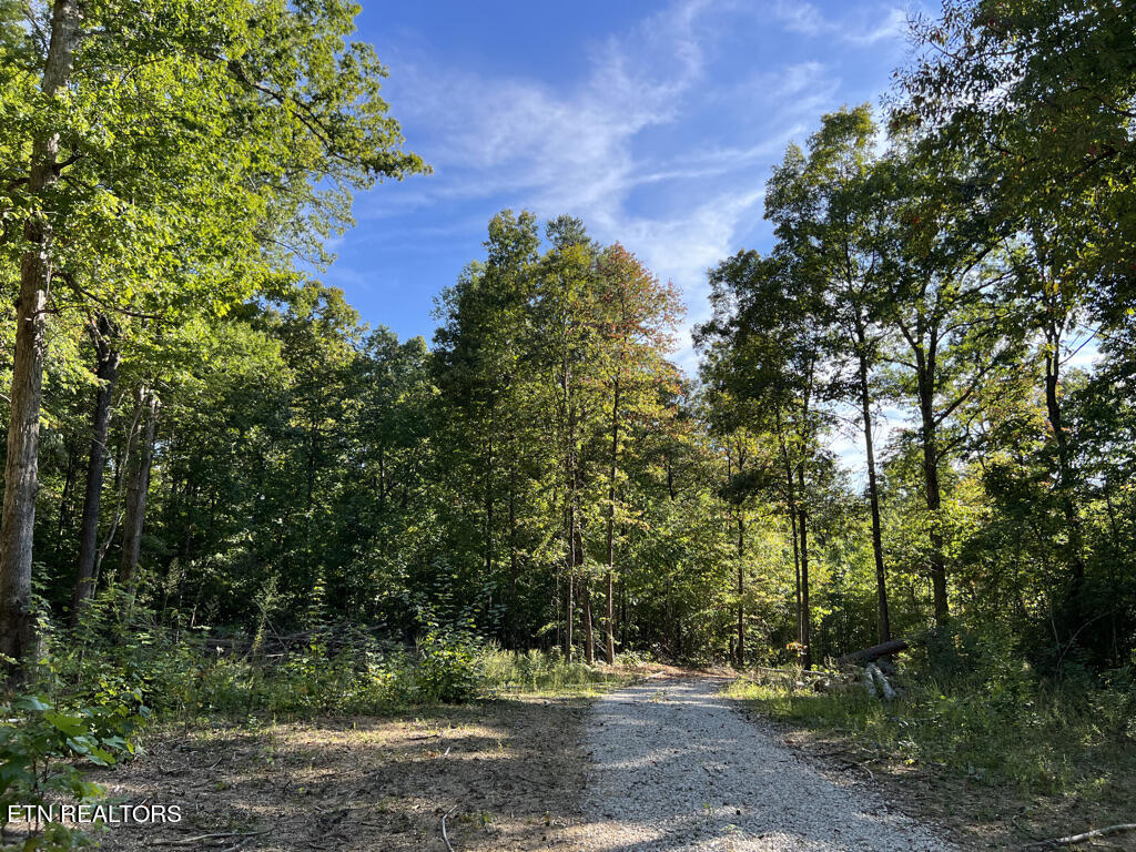 155 Chestnut Grove Road Maynardville, TN 37807 - Photo 17 of 29 155 Chestnut Grove, Maynardville TN