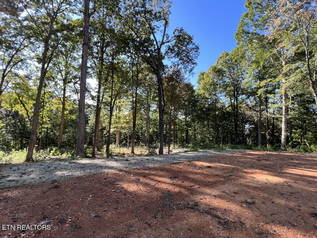 155 Chestnut Grove Road Maynardville, TN 37807 - Photo 18 of 29 155 Chestnut Grove, Maynardville TN