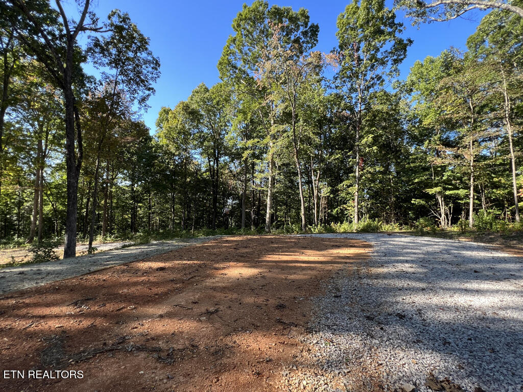 155 Chestnut Grove Road Maynardville, TN 37807 - Photo 19 of 29 155 Chestnut Grove, Maynardville TN