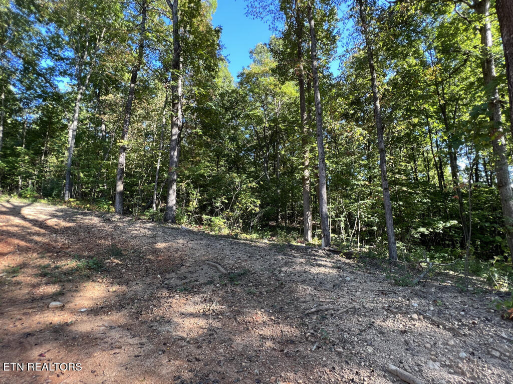155 Chestnut Grove Road Maynardville, TN 37807 - Photo 20 of 29 155 Chestnut Grove, Maynardville TN