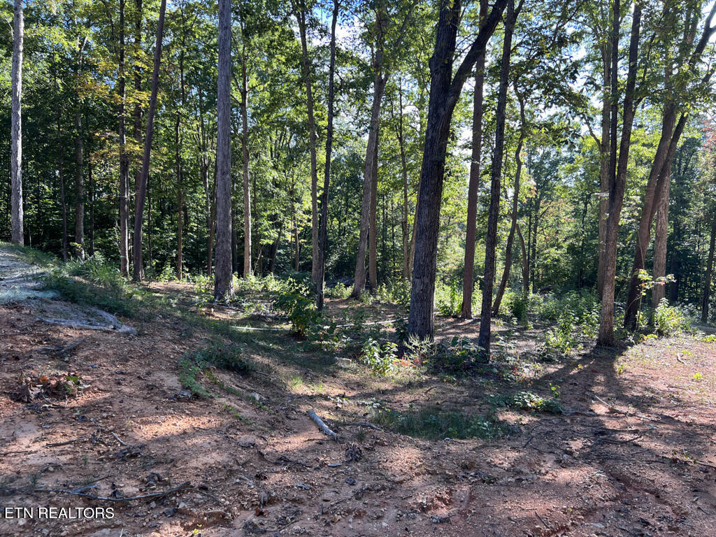 155 Chestnut Grove Road Maynardville, TN 37807 - Photo 21 of 29 155 Chestnut Grove, Maynardville TN