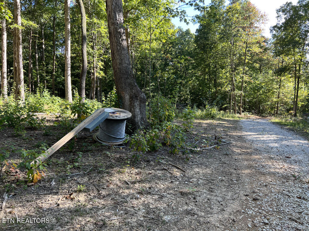 155 Chestnut Grove Road Maynardville, TN 37807 - Photo 24 of 29 155 Chestnut Grove, Maynardville TN