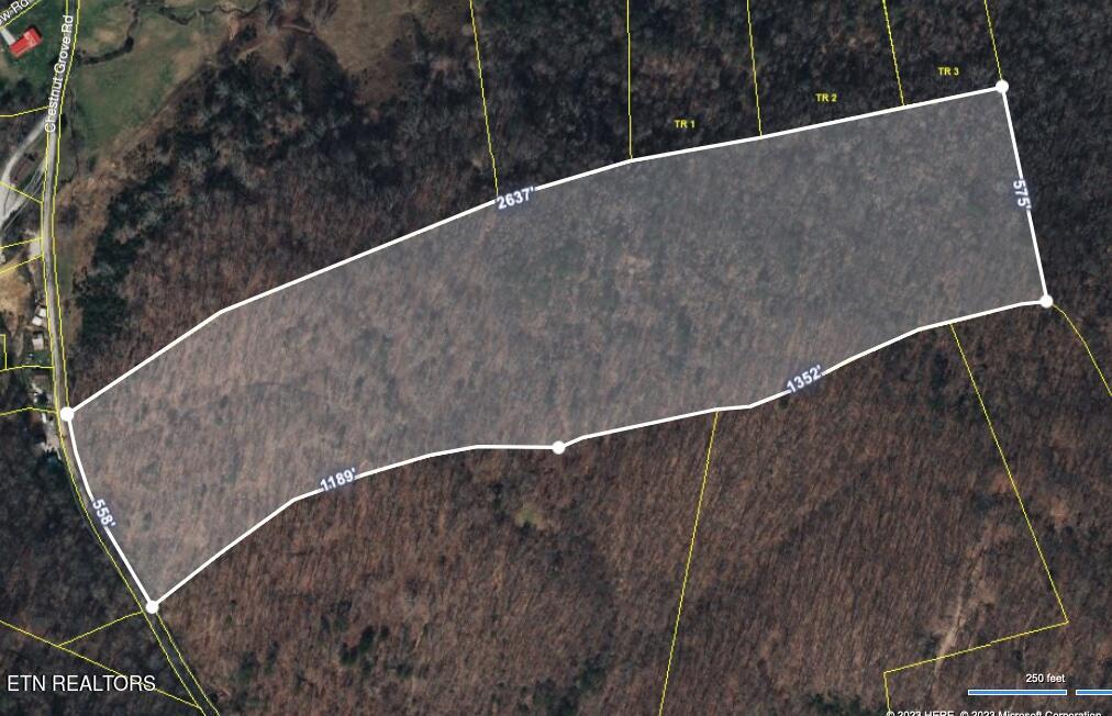 155 Chestnut Grove Road Maynardville, TN 37807 - Photo 3 of 29 155 Chestnut Grove, Maynardville TN