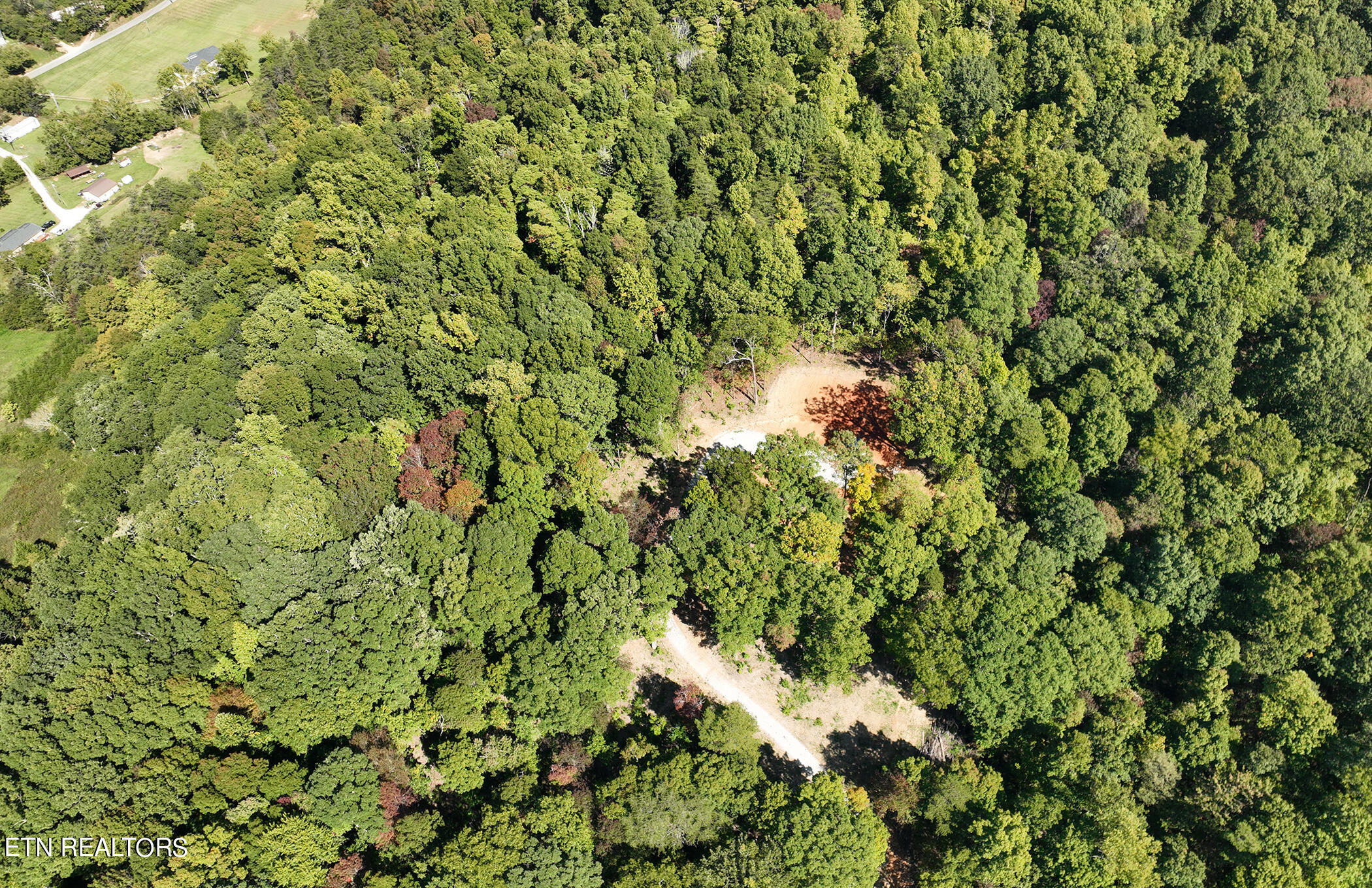 155 Chestnut Grove Road Maynardville, TN 37807 - Photo 6 of 29 155 Chestnut Grove, Maynardville TN