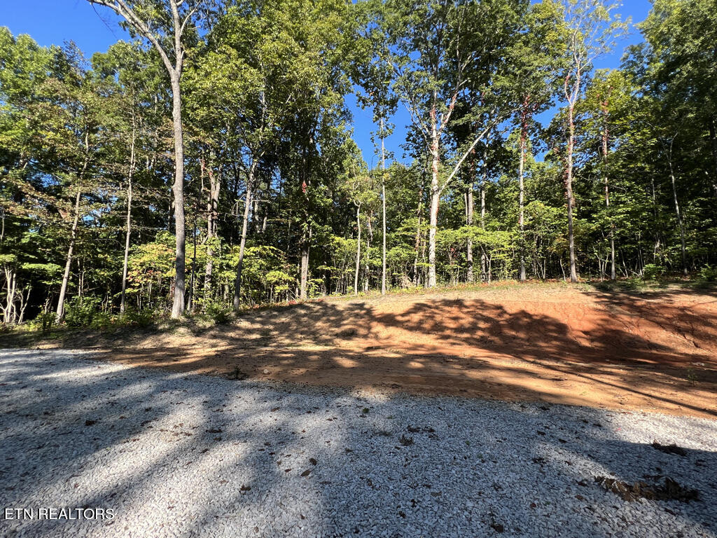 155 Chestnut Grove Road Maynardville, TN 37807 - Photo 8 of 29 155 Chestnut Grove, Maynardville TN