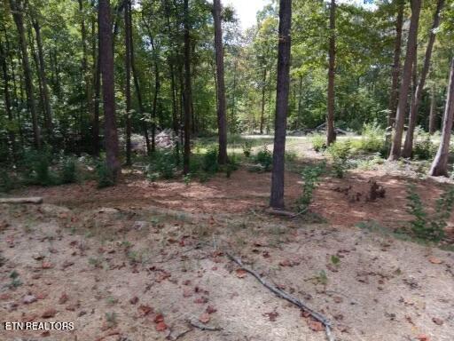 155 Chestnut Grove Road Maynardville, TN 37807 - Photo 9 of 29 155 Chestnut Grove, Maynardville TN