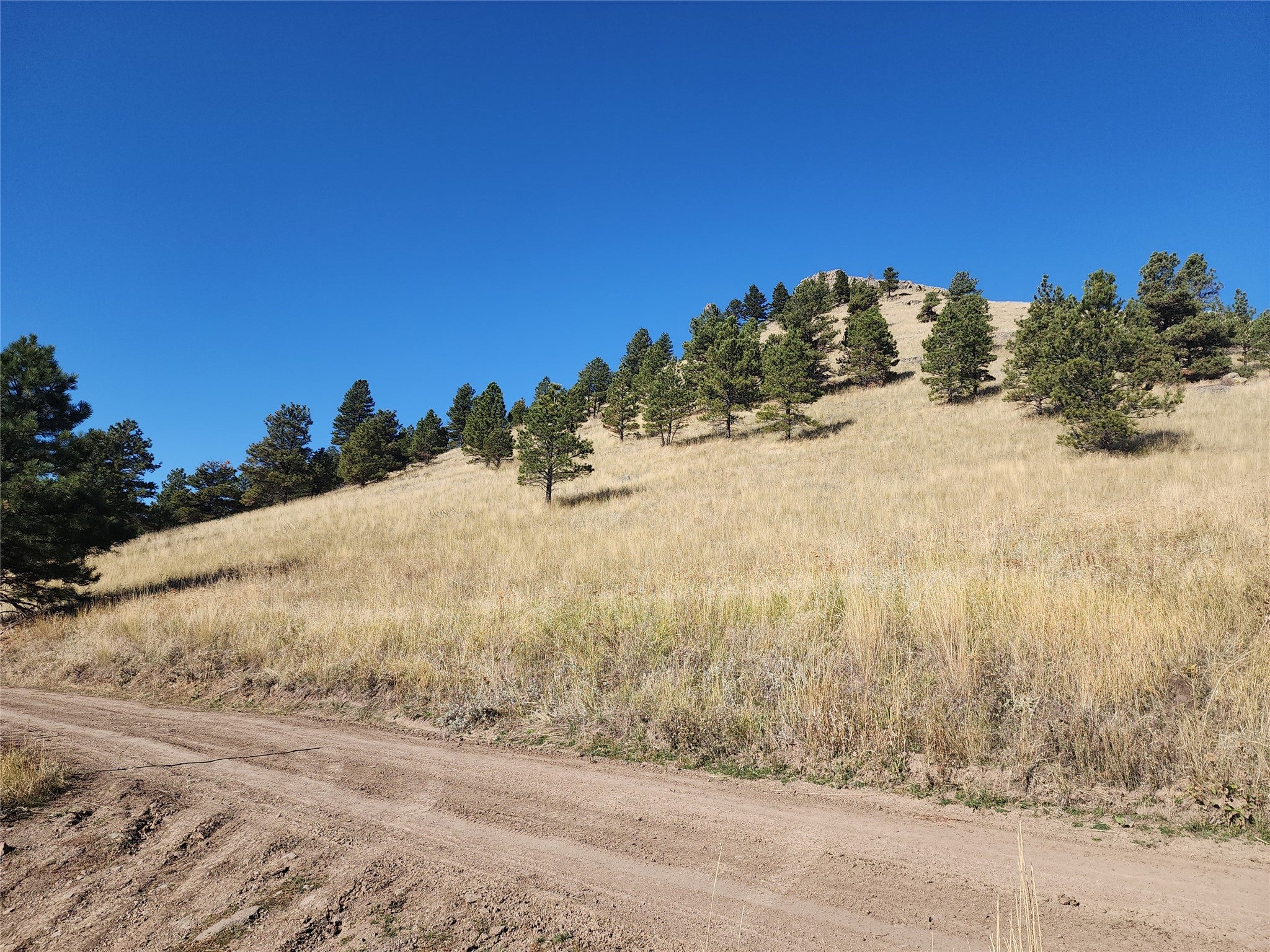 90 Hideaway Lane Cascade, MT 59421 - Photo 4 of 16 Gallery Image 4