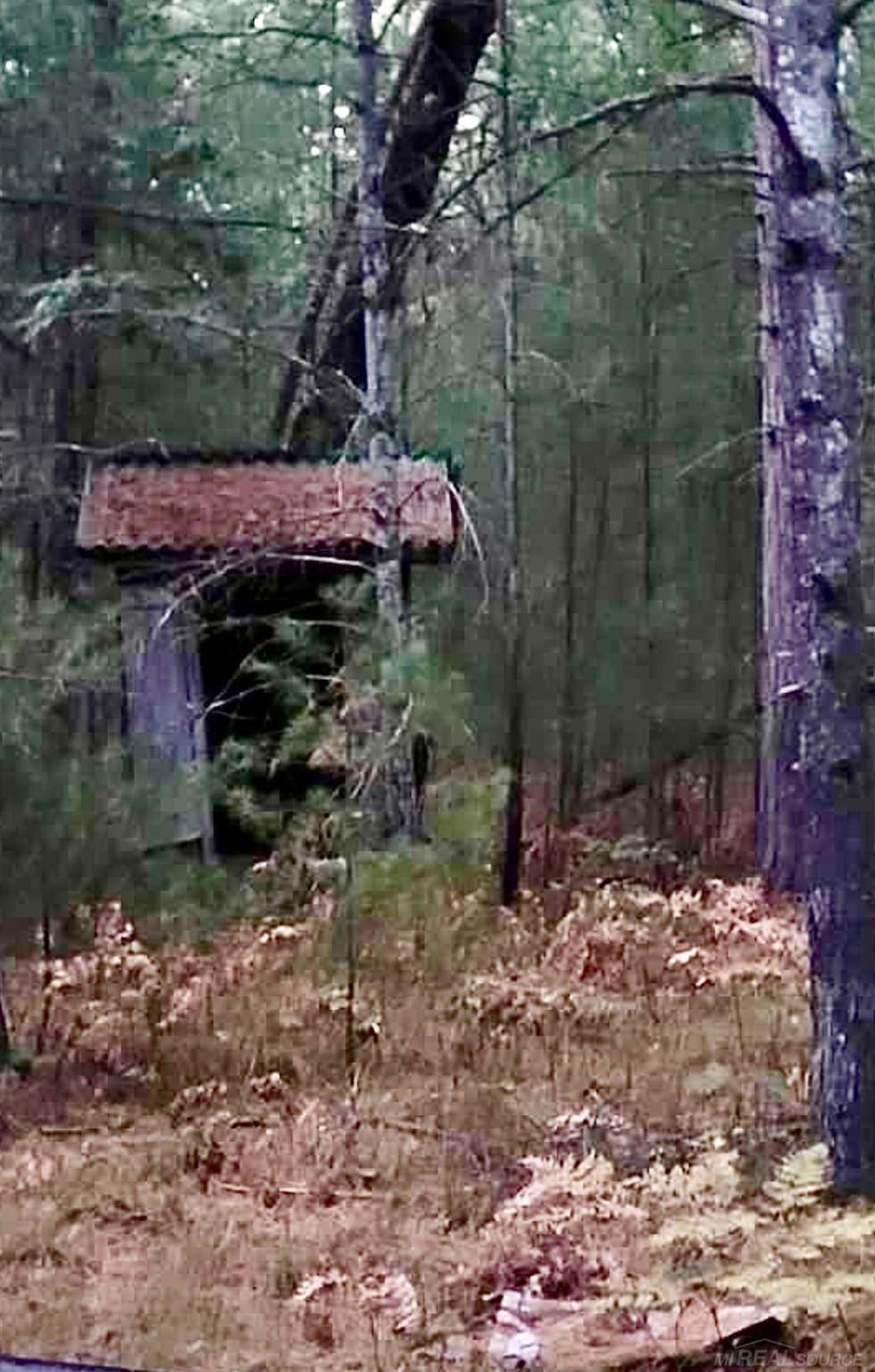 0 Old Camp Road Manistee, MI 49660 - Photo 17 of 22 Gallery Image 17