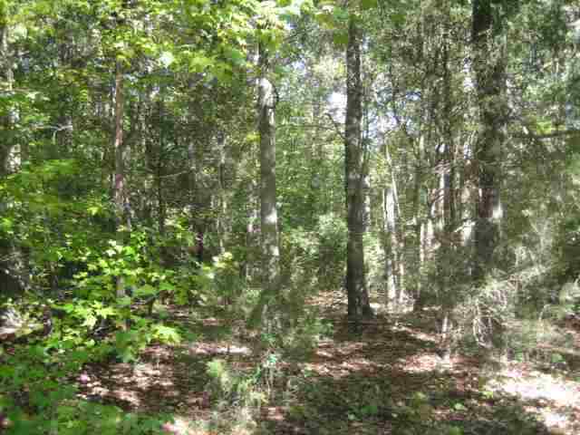 ?? Hook Road Honea Path, SC 29654 - Photo 11 of 16