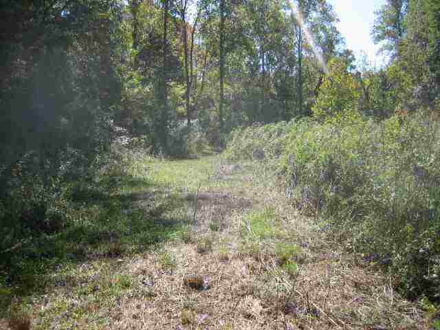 ?? Hook Road Honea Path, SC 29654 - Photo 15 of 16