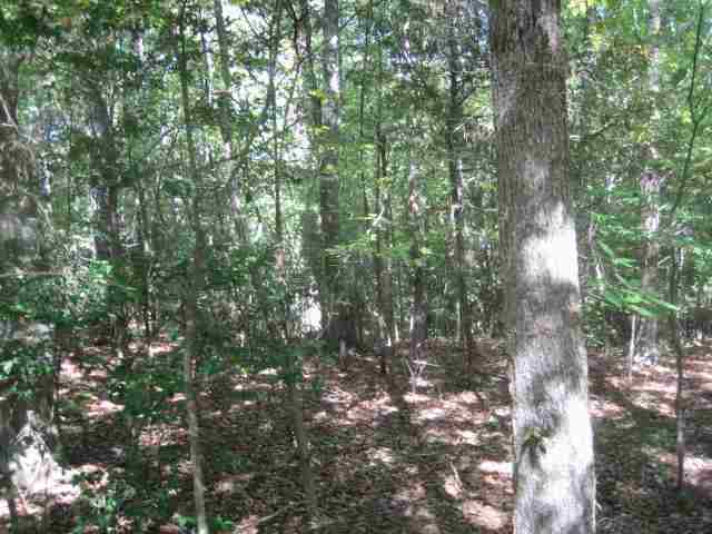 ?? Hook Road Honea Path, SC 29654 - Photo 5 of 16