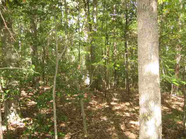 ?? Hook Road Honea Path, SC 29654 - Photo 6 of 16