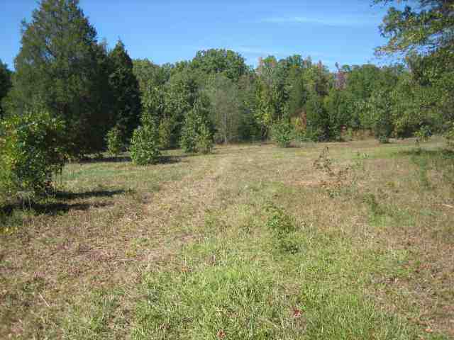 ?? Hook Road Honea Path, SC 29654 - Photo 7 of 16