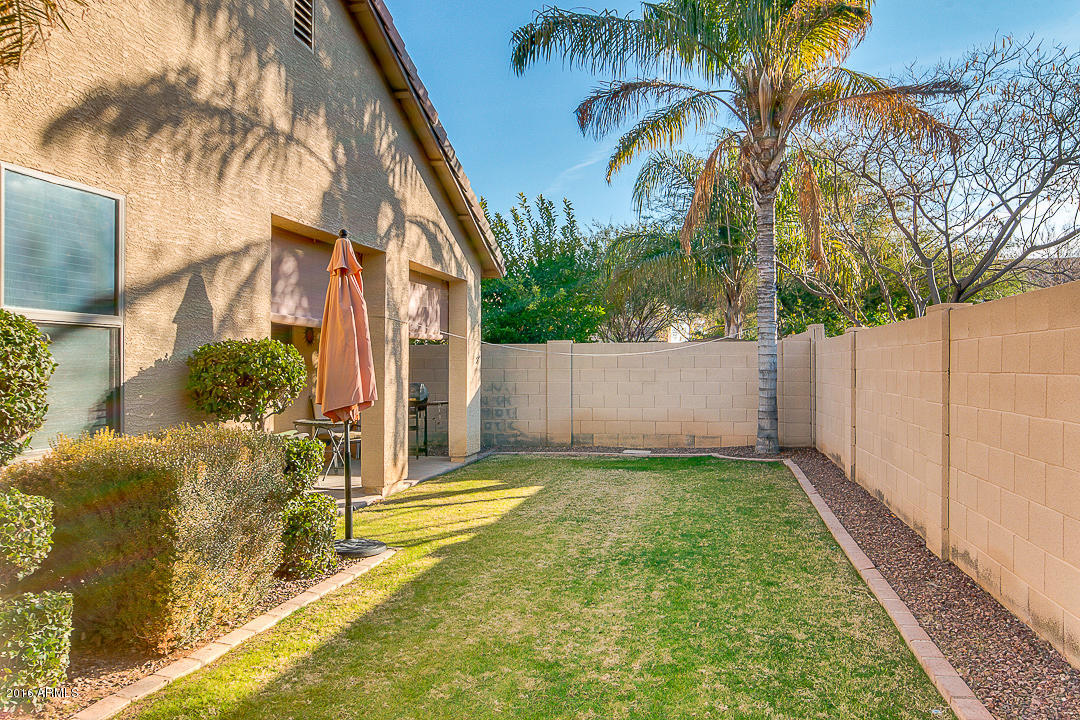 4563 East Del Rio Street Gilbert, AZ 85295 - Photo 6 of 21 Backyard
