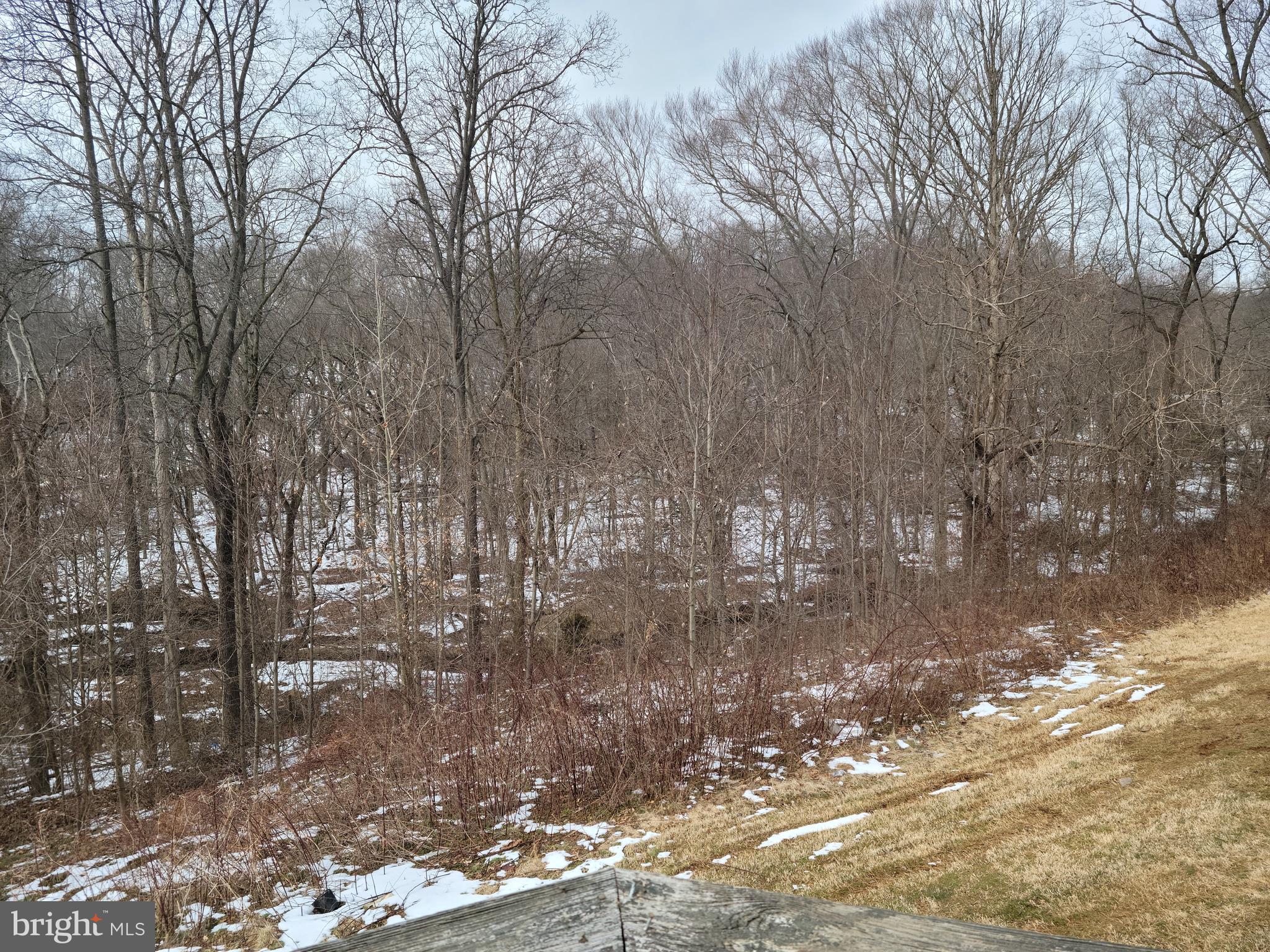 481 Connelly Road Rising Sun, MD 21911 - Photo 18 of 19 Rear view from Deck