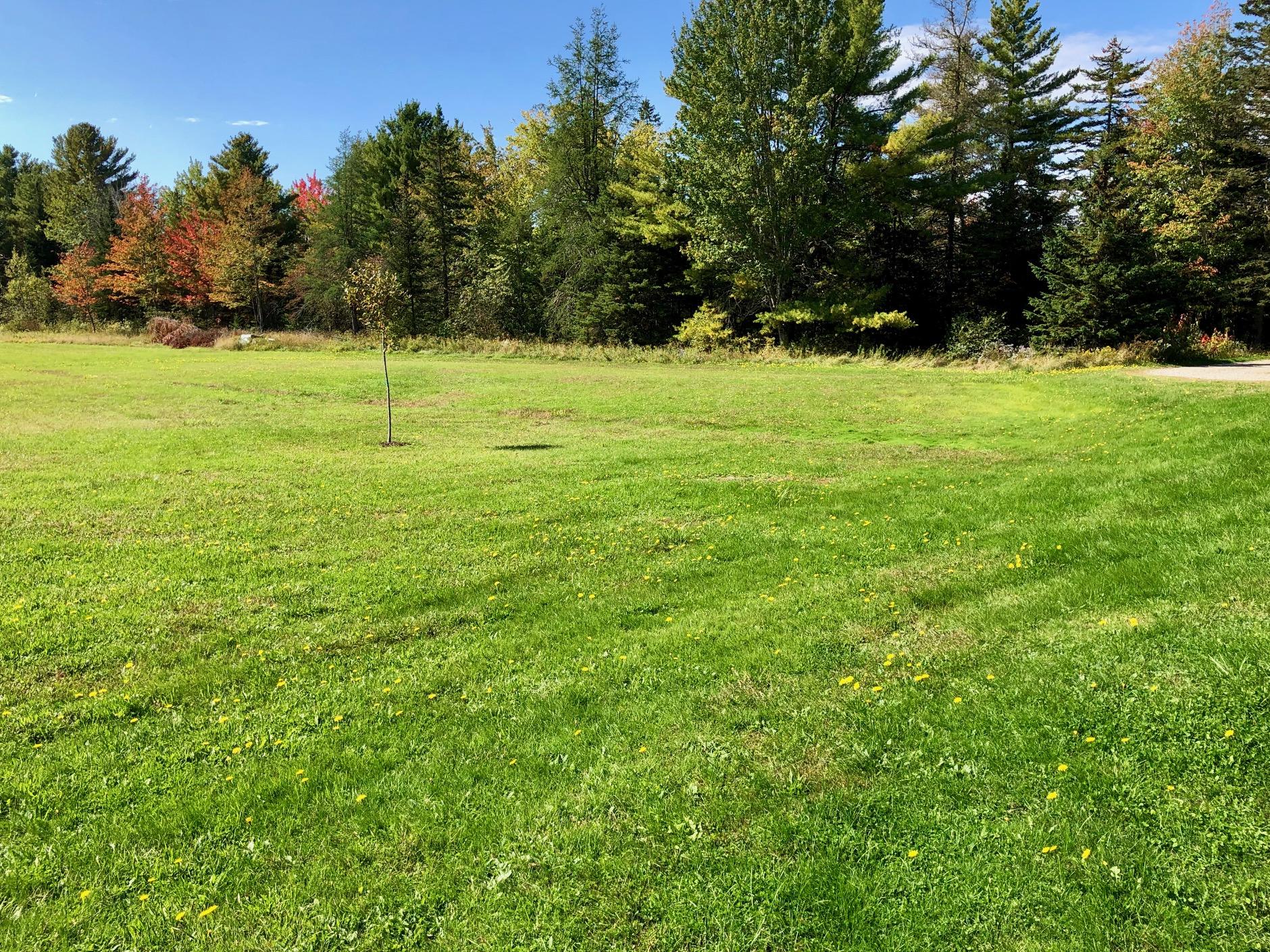 24 Minnow Brook Road Ellsworth, ME 04605 - Photo 69 of 74 Yard to run and play!