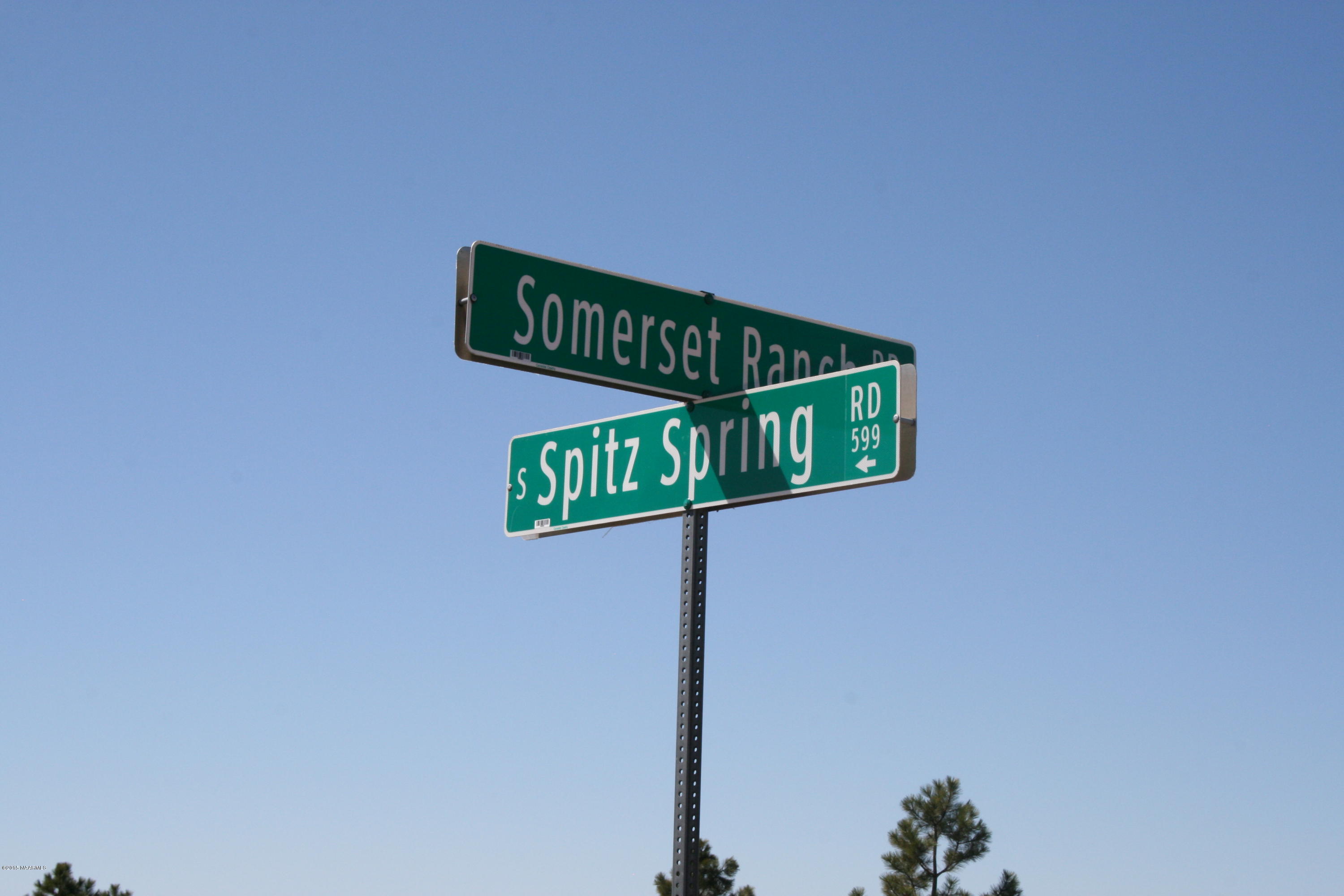384 South Spitz Spring Road Parks, AZ 86046 - Photo 8 of 9 IMG_1732.JPG