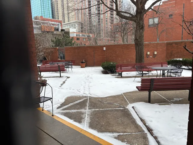 $3,200 | 901 South Plymouth Court, Unit 1402, Chicago, IL 60605