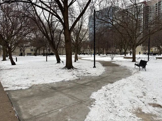 $3,200 | 901 South Plymouth Court, Unit 1402, Chicago, IL 60605