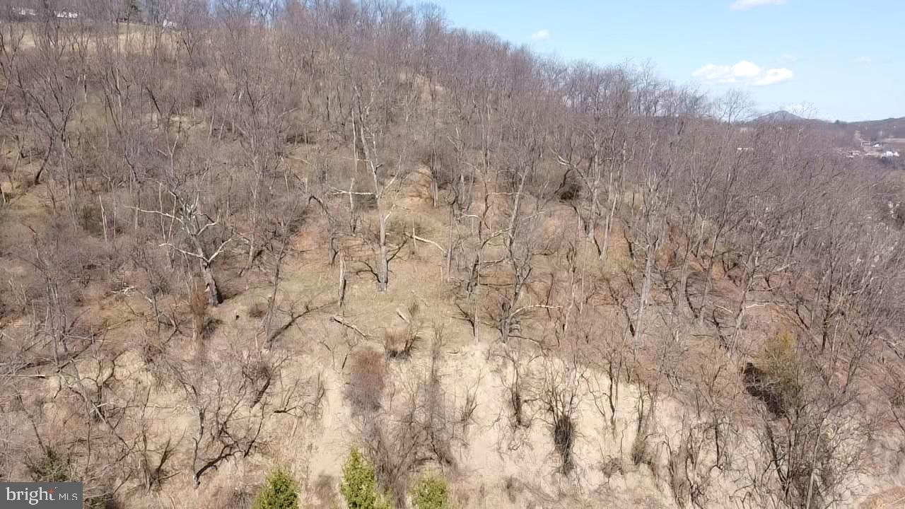 Temple Drive Keyser, WV 26726 - Photo 7 of 8