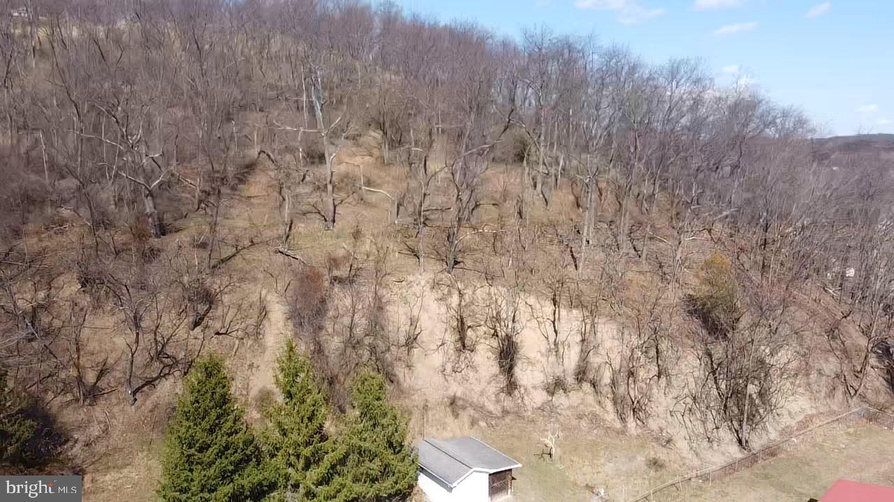 Temple Drive Keyser, WV 26726 - Photo 8 of 8