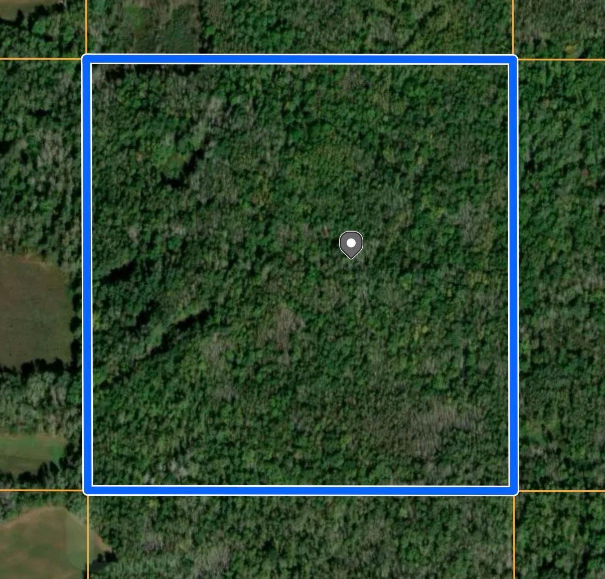 Tbd Old Grade Road Pine River, MN 56474 - Photo 7 of 15 Gallery Image 7