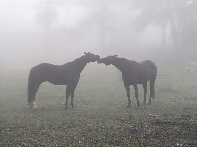 $2,500,000 | 8537 Doubleheader Ranch Road, Morrison, CO 80465