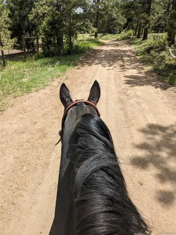 $2,500,000 | 8537 Doubleheader Ranch Road, Morrison, CO 80465