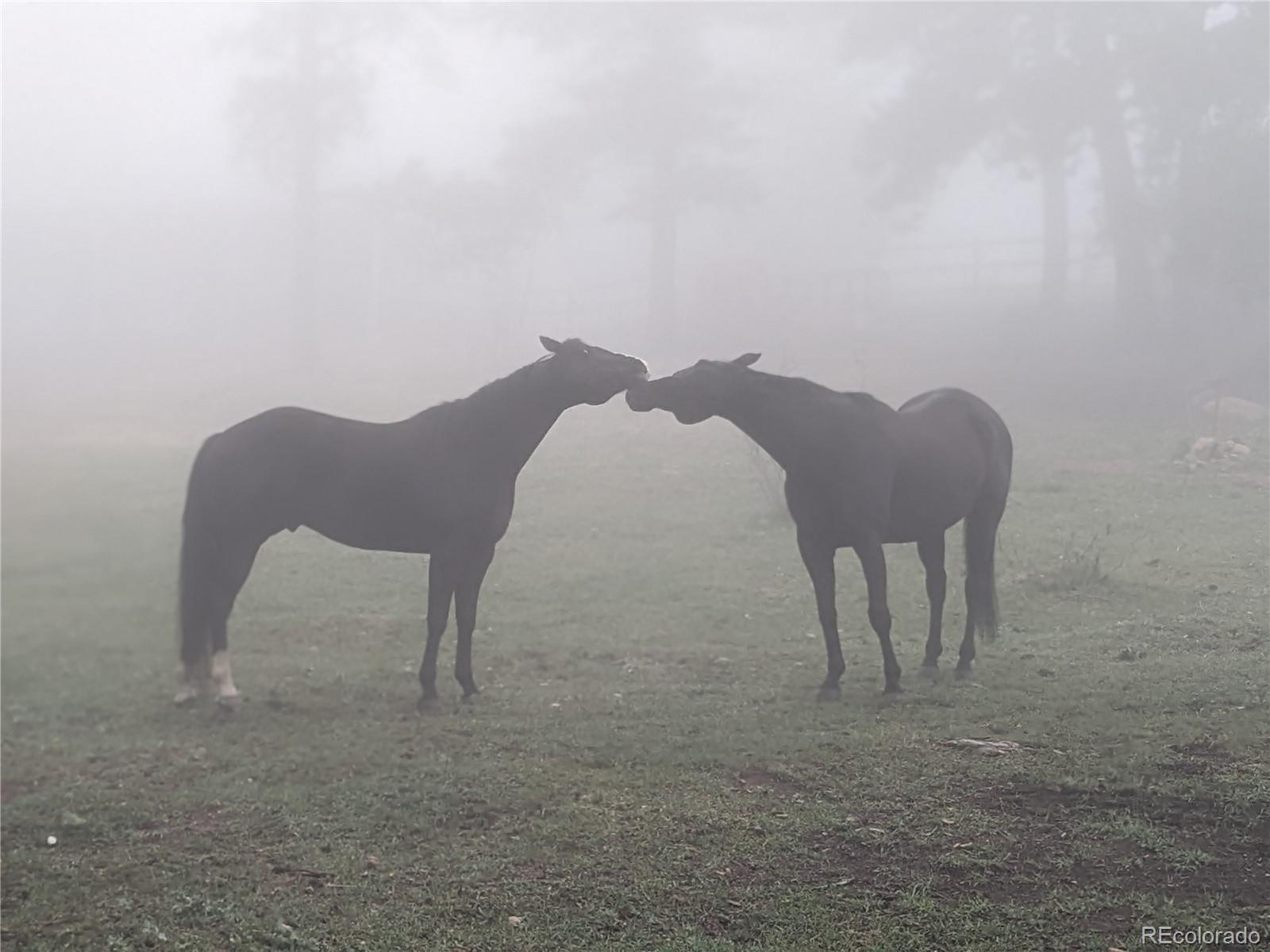 8537 Doubleheader Ranch Road Morrison, CO 80465 - Photo 31 of 48 a view of a backyard with table and chairs