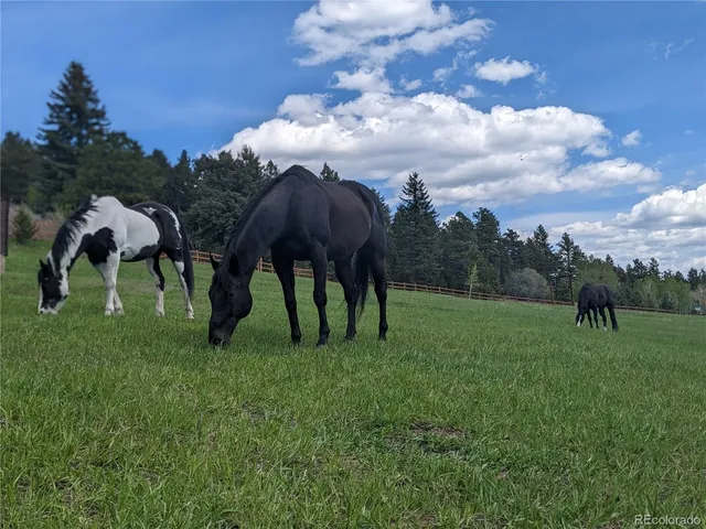 $2,500,000 | 8537 Doubleheader Ranch Road, Morrison, CO 80465