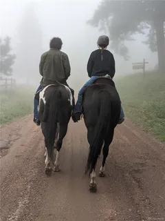 $2,500,000 | 8537 Doubleheader Ranch Road, Morrison, CO 80465