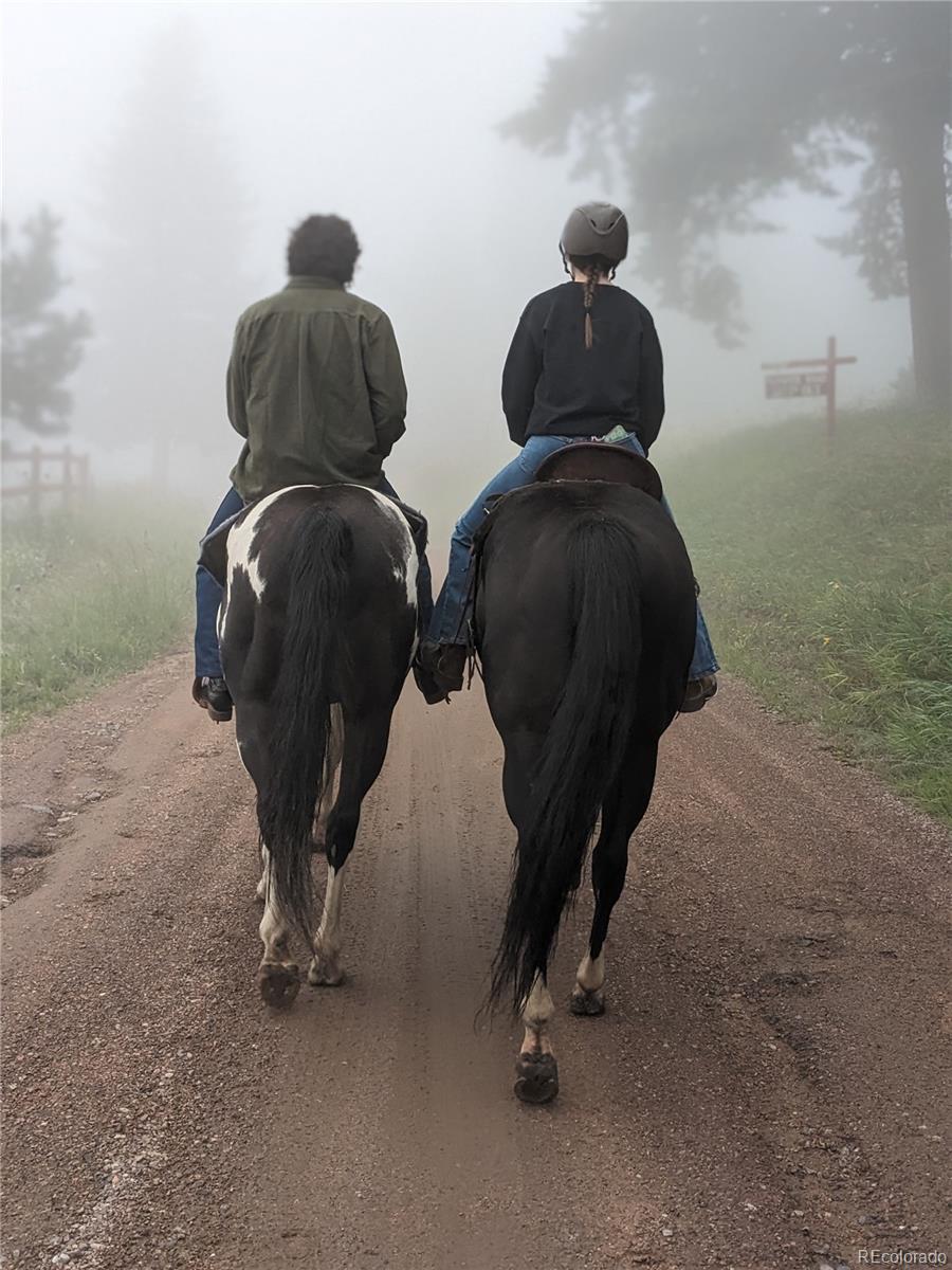 8537 Doubleheader Ranch Road Morrison, CO 80465 - Photo 47 of 48 a view of entryway