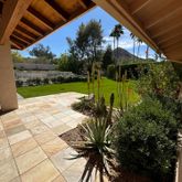 a view of a backyard