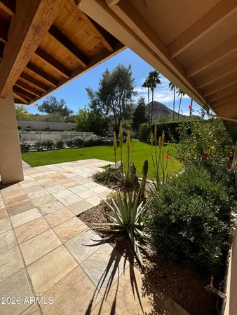 a view of a backyard