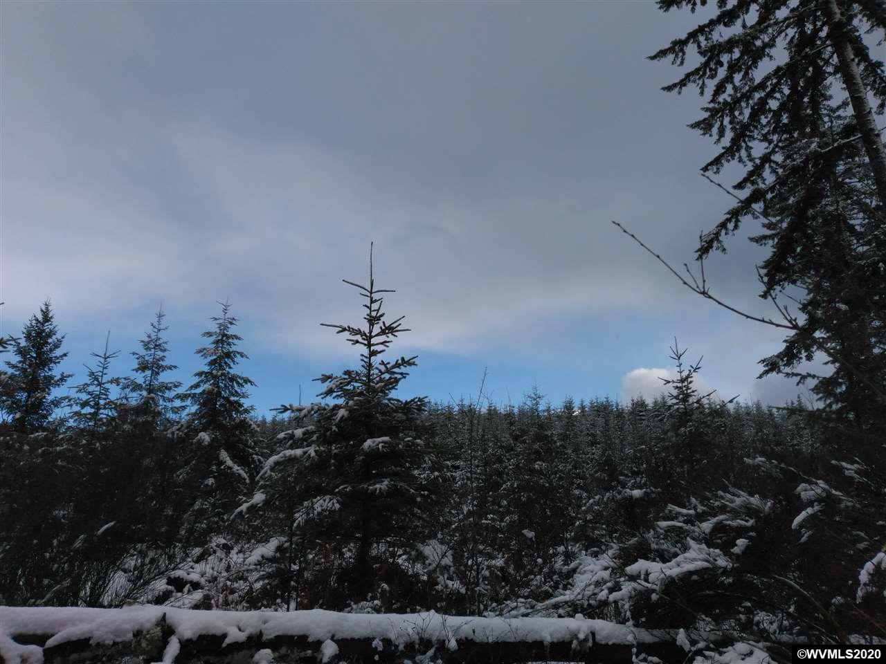 Gooseneck Road Sheridan, OR 97378 - Photo 3 of 13