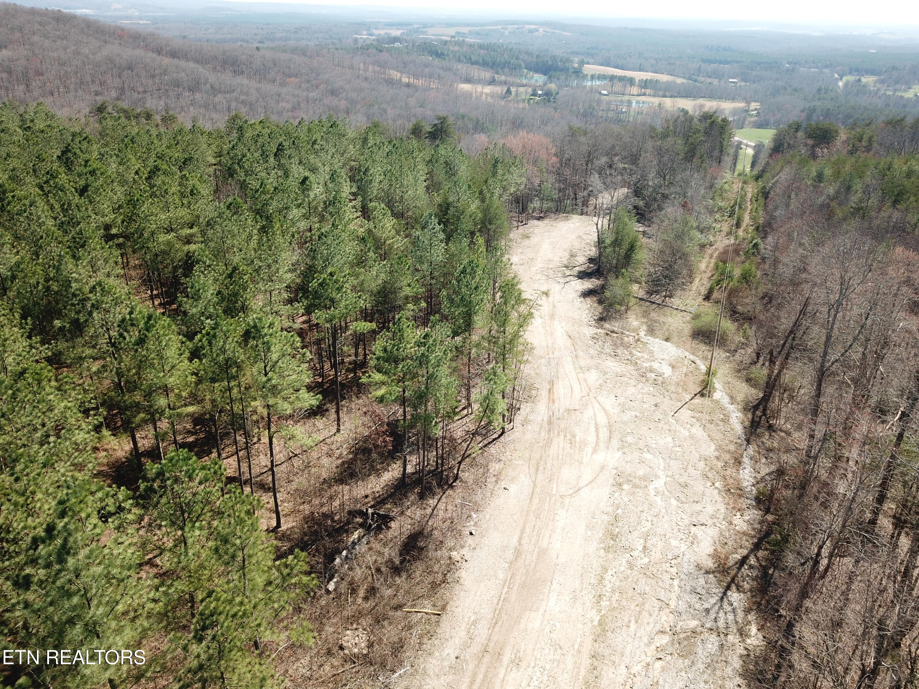 Buckridge Road Crossville, TN 38572 - Photo 19 of 26 DJI_0080