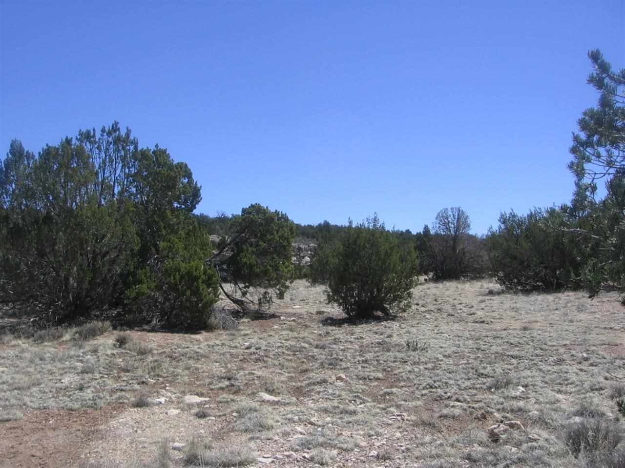 31 T15n R16e: Se4 Ne4 Heber, AZ 85928 - Photo 1 of 1