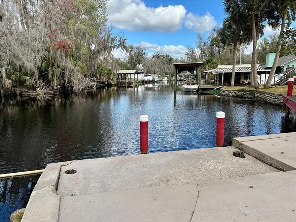 a view of a swimming pool and trees in the background