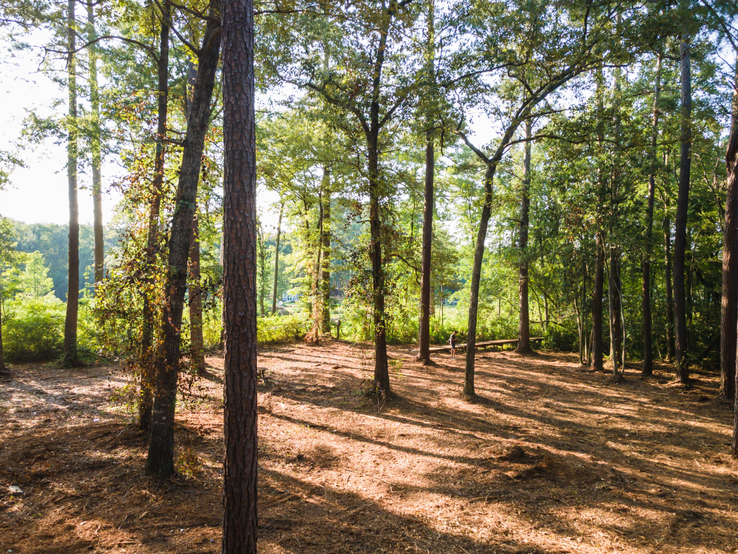 Tbd Edisto Lake Road, Unit 39 Wagener, SC 29164 - Photo 13 of 39 Gallery Image 13