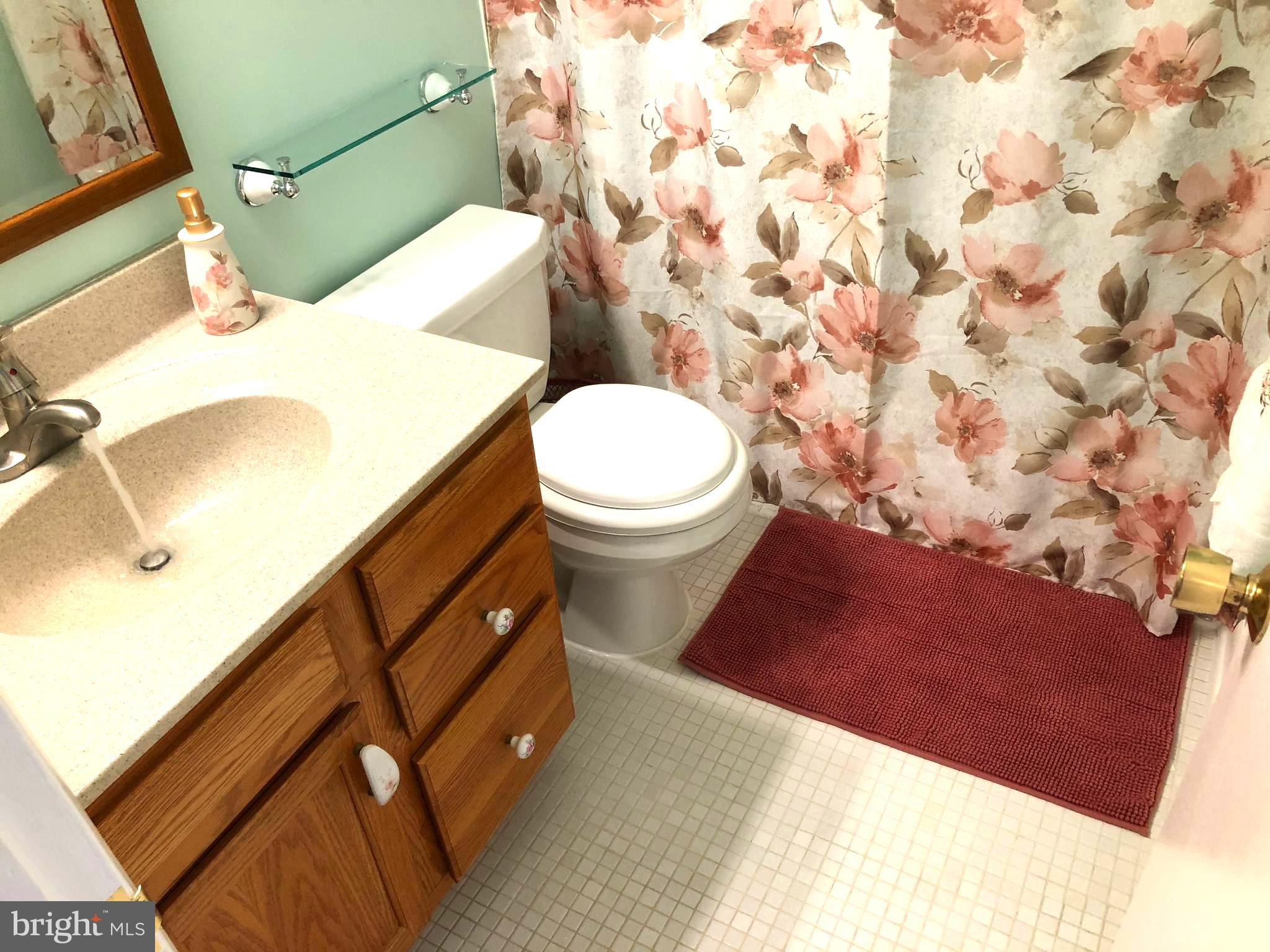 9444 Windpine Road Baltimore, MD 21220 - Photo 15 of 28 Upstairs Master Bathroom.
