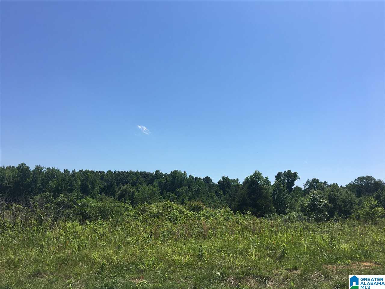 Radiant City Road Nauvoo, AL 35578 - Photo 1 of 1